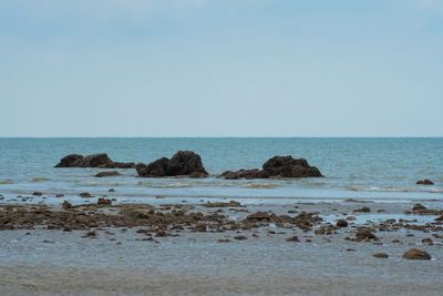 Scenic view of sea against clear sky