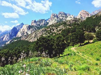 Scenic view of landscape against sky