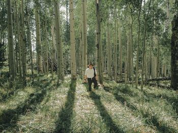 Rear view of man walking in forest