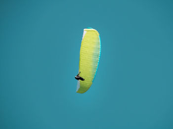 Low angle view of bird flying in sky