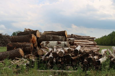 Stack of logs in field against sky