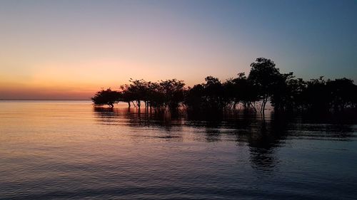 Silhouette trees by lake against sky during sunset