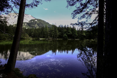 Reflection of trees in lake against sky