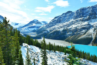 Scenic view of peyto lake by snowcapped mountains against sky