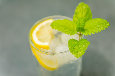 Close-up of drink on glass