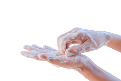 Close-up of hand holding leaf over white background