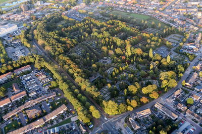 High angle view of trees and buildings in city