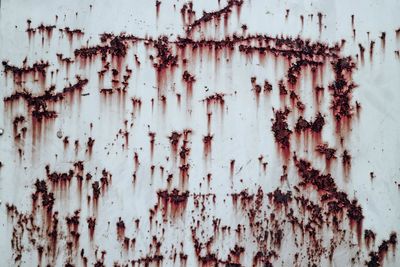 Full frame shot of weathered wall