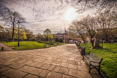 Footpath amidst trees in city against sky