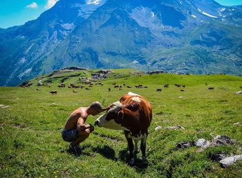 View of a horse on field