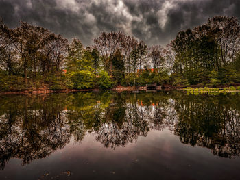 Reflection of trees in lake against sky
