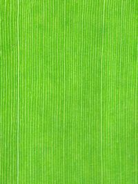 Full frame shot of green textured surface