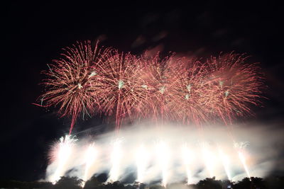 Low angle view of firework display at night