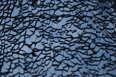 Low angle view of glass of tree against sky