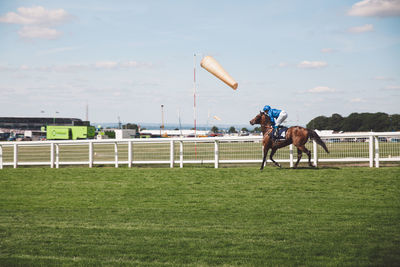 Horse running on field