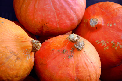 Close-up of vegetable