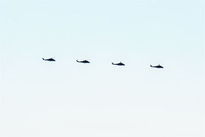 Low angle view of birds flying in sky