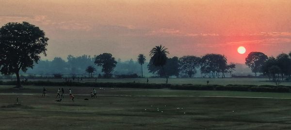 View of horses on field against sky during sunset