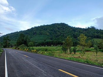 Road by trees against sky