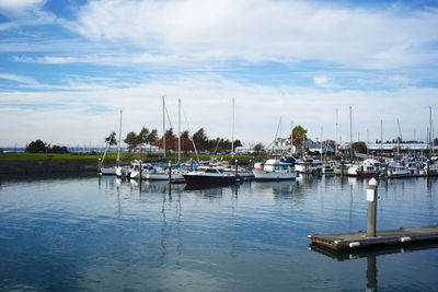 Sailboats moored in harbor against sky