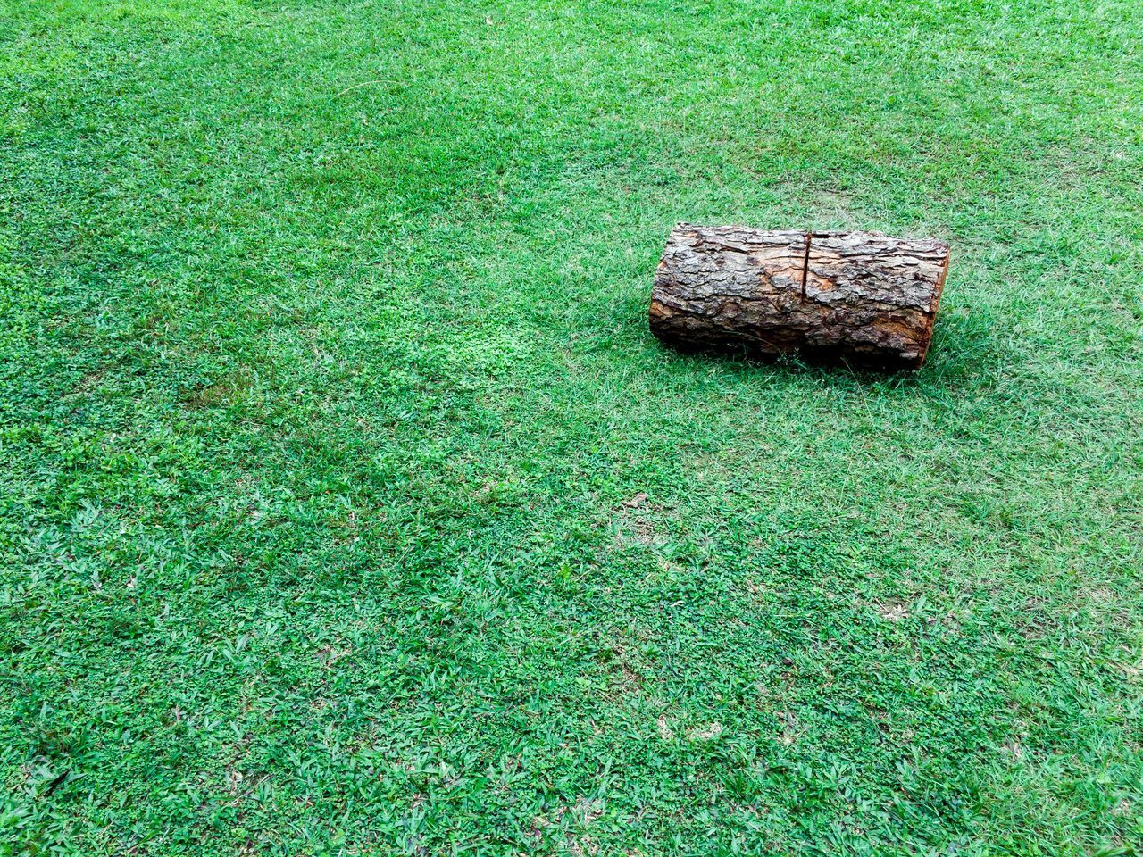 HIGH ANGLE VIEW OF MESSY FIELD