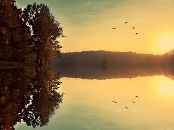 Silhouette birds flying over lake against sky during sunset