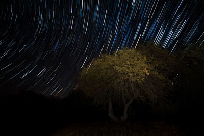 Trees on landscape against sky at night