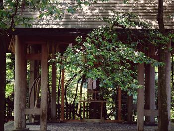 Trees and plants outside building