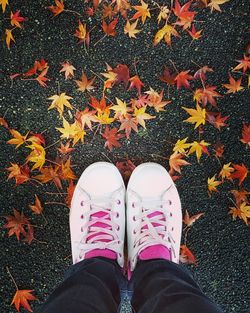 Low section of person standing on autumn leaves