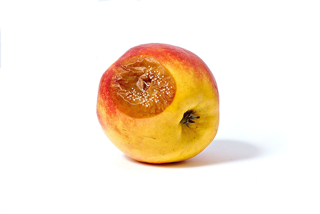 CLOSE-UP OF APPLE ON WHITE SURFACE