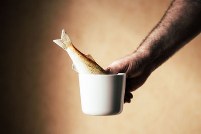 Close-up of man holding cup over brown background