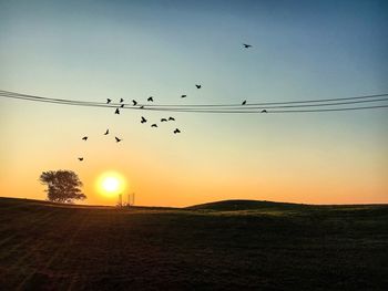 Birds flying over silhouette landscape against sky during sunset