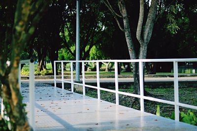 Footpath in park