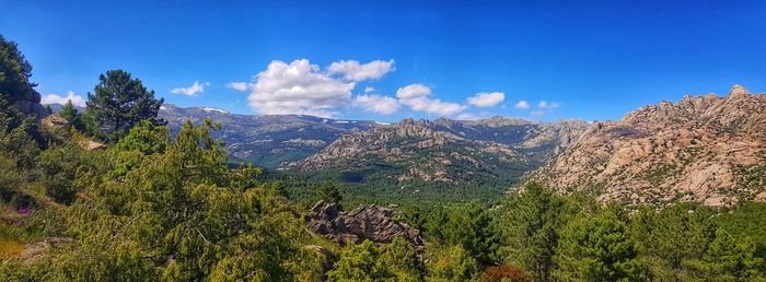 Panoramic view of plants and mountains against blue sky