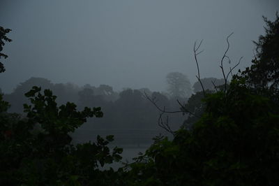 Silhouette trees by lake against sky during rainy season