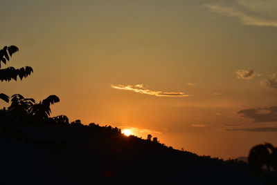 Silhouette trees against sky during sunset