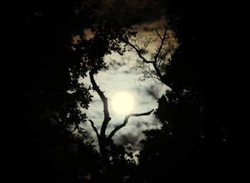 Low angle view of silhouette trees against sky