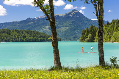 People paddleboarding in lake