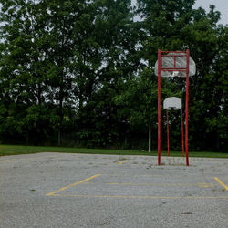 Basketball hoop against trees