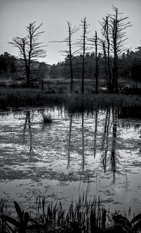 View of a lake