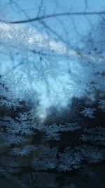 Close-up of wet snow against sky