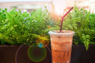 Close-up of drink on table