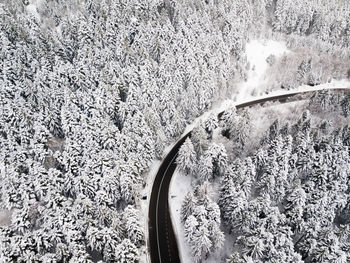 High angle view of snow covered road