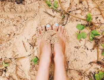 Low section of woman on sand at beach