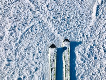 Skis on the snow - minimalism