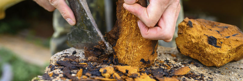 Close-up of person hand holding wood