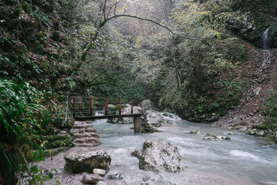 Stream flowing through rocks in forest