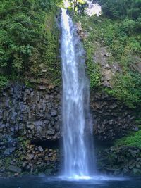 View of waterfall in forest