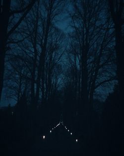Low angle view of silhouette trees against sky at night