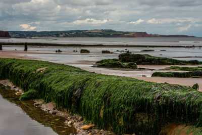 Scenic view of river against sky